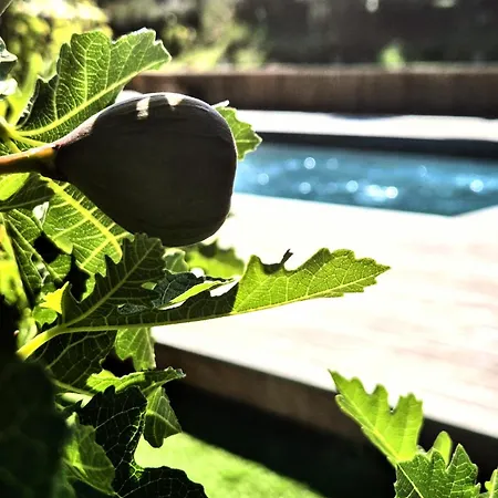 A Bella Gaia Villa Cauro